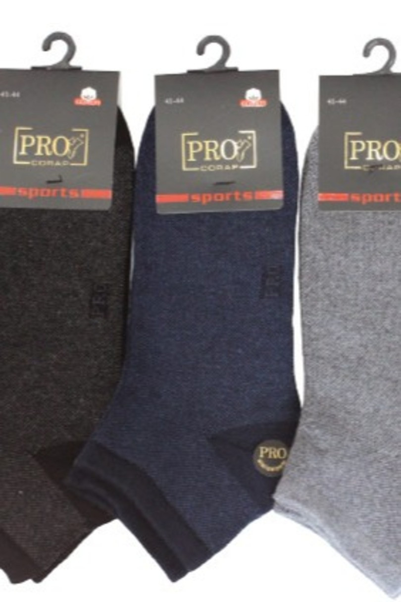 Pánské ponožky PRO 14001 směs barev 41-44
