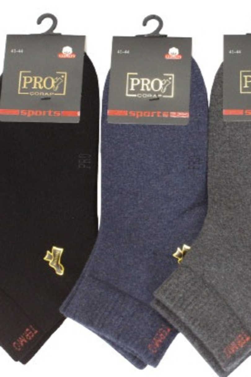 Pánské ponožky PRO 14004 směs barev 41-44