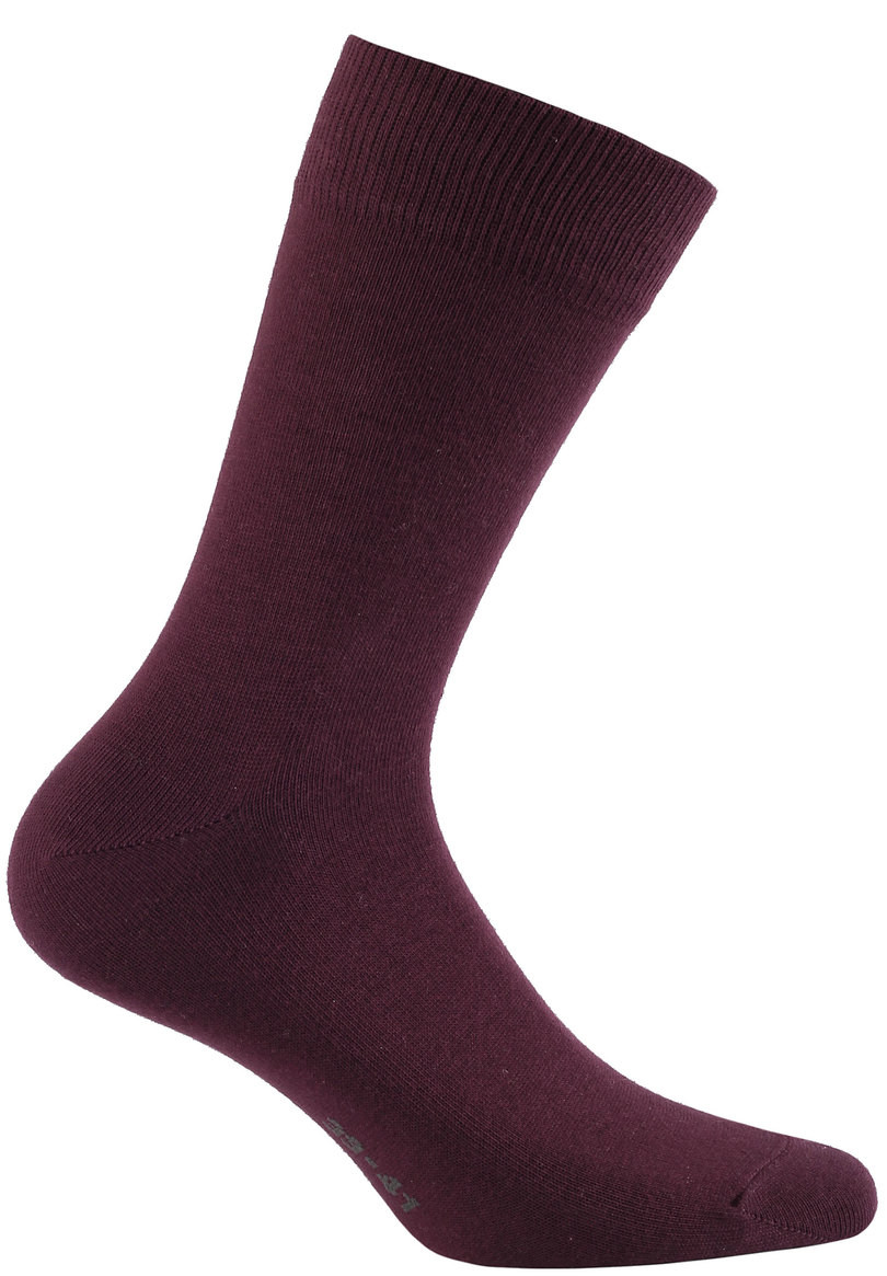 Hladké pánské ponožky PERFECT MAN - CASUAL fialová 39/41