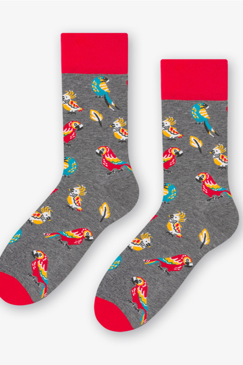 Pánské vzorované ponožky 079 MELANŽOVĚ ŠEDÁ 43-46