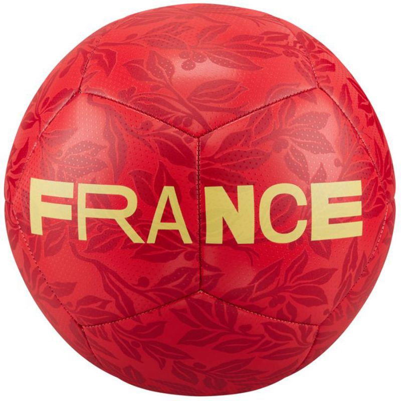 Francie fotbal DQ7285 657 - Nike 5