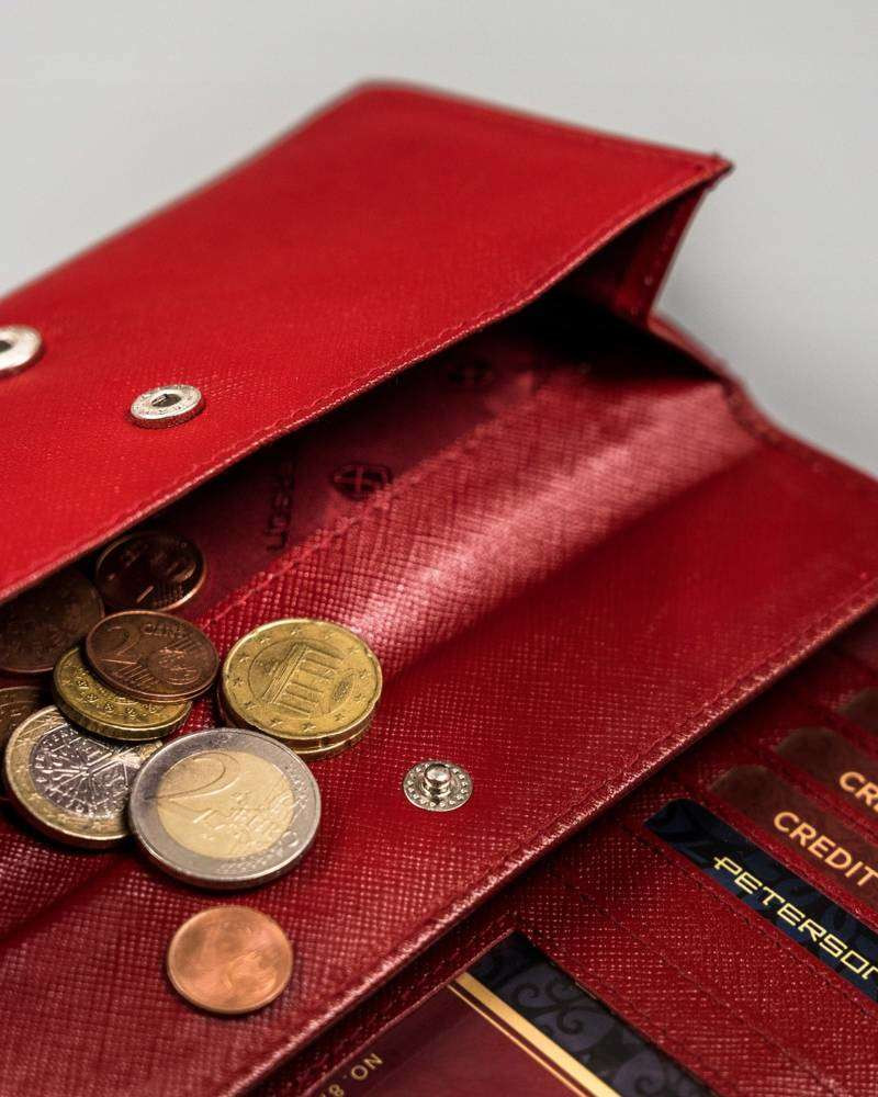 Dámské peněženky [DH] PTN RD 12 GCLS červená univerzita
