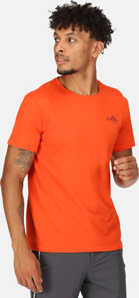 Pánské tričko Regatta RMT273-33L oranžové Oranžová 3XL