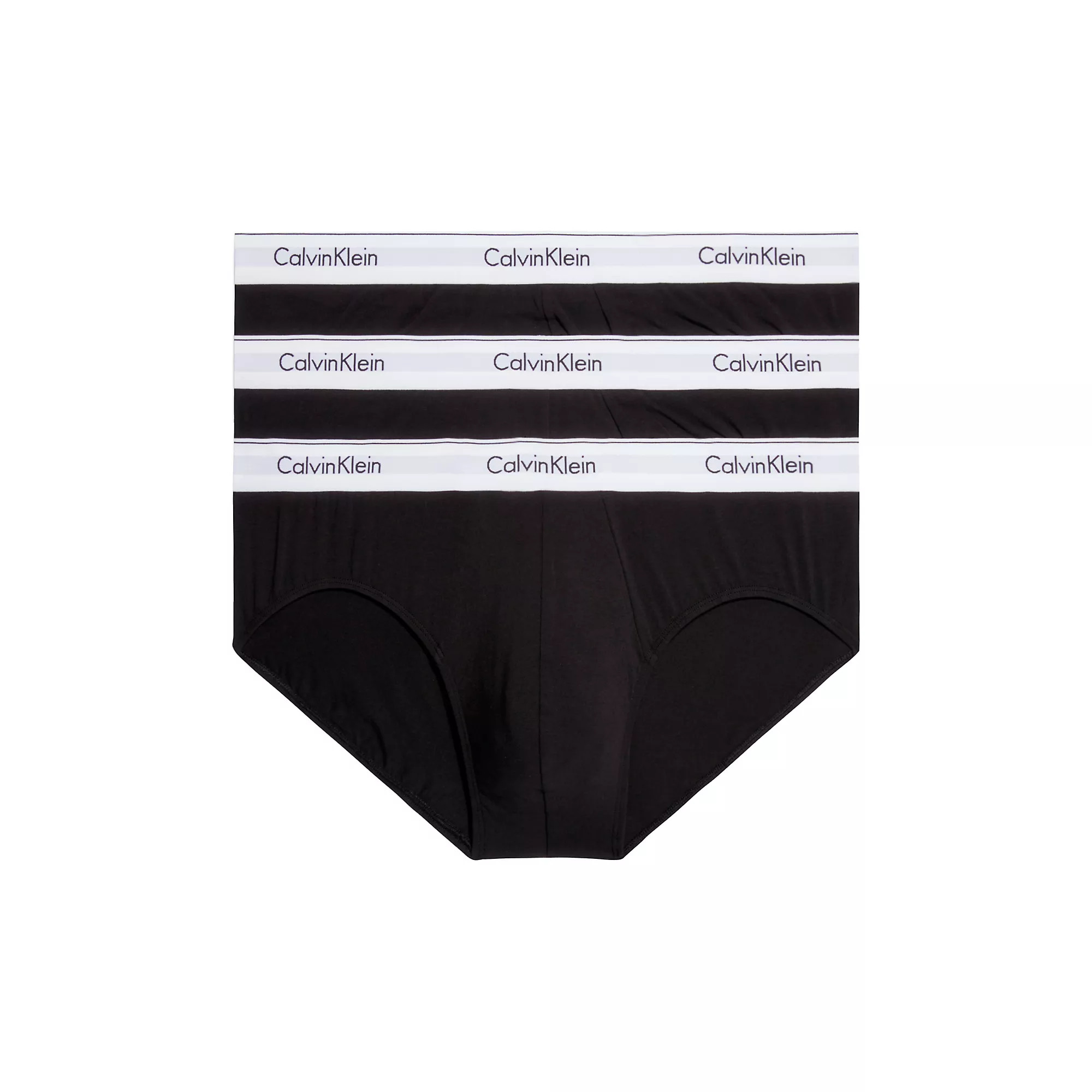 Pánské spodní prádlo HIP BRIEF 3PK 000NB2379A001 - Calvin Klein L