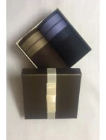 Pánské kapesníky CH-760  komplet 2 kusy - EGA