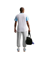 Pánské teplákové kalhoty IB1248 063 šedé - Nike Pánské teplákové kalhoty IB1248 063 šedé - Nike