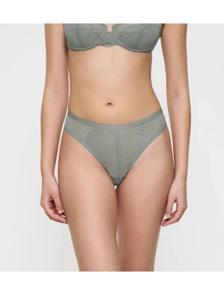 Delightful Spotlight Brazilian - UNKNOWN - TRIUMPH UNKNOWN - TRIUMPH Delightful Spotlight Brazilian - UNKNOWN - TRIUMPH UNKNOWN - TRIUMPH