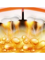 HHM21 HULA HOP BÍLÁ/ORANŽOVÁ S MAGNETY, TPE TABS A ZÁVAŽÍM + POČÍTADLO HMS HHM21 HULA HOP BÍLÁ/ORANŽOVÁ S MAGNETY, TPE TABS A ZÁVAŽÍM + POČÍTADLO HMS