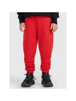 Chlapecké tepláky 4F 4FJRAW25TTROM1634-62S Chlapecké tepláky 4F 4FJRAW25TTROM1634-62S