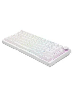 MECHANICKÁ KLÁVESNICE SAVIO ASTRAL WHITE OUTEMU WHITE JADE RGB MECHANICKÁ KLÁVESNICE SAVIO ASTRAL WHITE OUTEMU WHITE JADE RGB