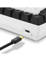 Sharkoon SKILLER SGK50 S3 USB QWERTZ herní klávesnice německá bílá Sharkoon SKILLER SGK50 S3 USB QWERTZ herní klávesnice německá bílá