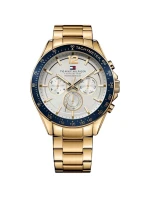 Pánské hodinky Tommy Hilfiger Luke 1791121 + BOX Pánské hodinky Tommy Hilfiger Luke 1791121 + BOX