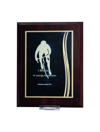 Plastový diplom s vyrytou kovovou destičkou