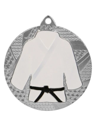 Stříbrná medaile v judu/karate