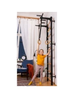 BENCHK 721B A076 GYNASTICKÝ STŮL S KOVOVOU TYČÍ A PŘÍSLUŠENSTVÍM PRO DĚTI BENCHK 721B A076 GYNASTICKÝ STŮL S KOVOVOU TYČÍ A PŘÍSLUŠENSTVÍM PRO DĚTI