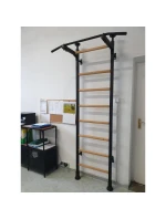 ROZKLÁDACÍ DŘEVĚNO-KOVOVÝ GYMNASTICKÝ ŽEBŘÍK S KOVOVOU HRAZDOU V DUBOVÉ LAVICI 511 ROZKLÁDACÍ DŘEVĚNO-KOVOVÝ GYMNASTICKÝ ŽEBŘÍK S KOVOVOU HRAZDOU V DUBOVÉ LAVICI 511