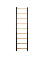 GYMNASTICKÝ ŽEBŘÍK S NASTAVITELNOU KOVOVOU TYČÍ 731B BENCHK GYMNASTICKÝ ŽEBŘÍK S NASTAVITELNOU KOVOVOU TYČÍ 731B BENCHK