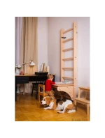 DŘEVĚNÝ ŽEBŘÍK S LAVIČKOU 112 DŘEVĚNÝ ŽEBŘÍK S LAVIČKOU 112