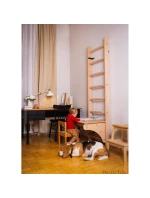 DŘEVĚNÝ ŽEBŘÍK S LAVIČKOU 112 DŘEVĚNÝ ŽEBŘÍK S LAVIČKOU 112