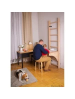 DŘEVĚNÝ ŽEBŘÍK S LAVIČKOU 112 DŘEVĚNÝ ŽEBŘÍK S LAVIČKOU 112