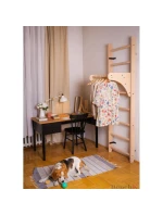 DŘEVĚNÝ ŽEBŘÍK S LAVIČKOU 112 DŘEVĚNÝ ŽEBŘÍK S LAVIČKOU 112