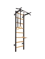 DŘEVĚNÝ KOVOVÝ GYMNASTICKÝ ŽEBŘÍK S DŘEVĚNOU HRAZDOU A PŘÍSLUŠENSTVÍM BENCHK 221B A076 DŘEVĚNÝ KOVOVÝ GYMNASTICKÝ ŽEBŘÍK S DŘEVĚNOU HRAZDOU A PŘÍSLUŠENSTVÍM BENCHK 221B A076