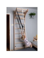 Žebřík s dřevěnou příčkou a příslušenstvím BENCHK 112+A204 dětské Žebřík s dřevěnou příčkou a příslušenstvím BENCHK 112+A204 dětské