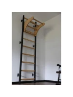 DŘEVĚNÝ KOVOVÝ GYMNASTICKÝ ŽEBŘÍK S DŘEVĚNOU LAVIČKOU 711W DŘEVĚNÝ KOVOVÝ GYMNASTICKÝ ŽEBŘÍK S DŘEVĚNOU LAVIČKOU 711W