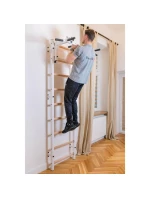 GYMNASTICKÝ ŽEBŘÍK S NASTAVITELNOU KOVOVOU TYČÍ 731W BENCHK GYMNASTICKÝ ŽEBŘÍK S NASTAVITELNOU KOVOVOU TYČÍ 731W BENCHK