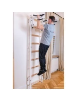 GYMNASTICKÝ ŽEBŘÍK S NASTAVITELNOU KOVOVOU TYČÍ 731W BENCHK GYMNASTICKÝ ŽEBŘÍK S NASTAVITELNOU KOVOVOU TYČÍ 731W BENCHK