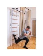 GYMNASTICKÝ ŽEBŘÍK S NASTAVITELNOU KOVOVOU TYČÍ 731W BENCHK GYMNASTICKÝ ŽEBŘÍK S NASTAVITELNOU KOVOVOU TYČÍ 731W BENCHK