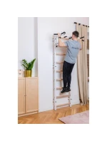 GYMNASTICKÝ ŽEBŘÍK S NASTAVITELNOU KOVOVOU TYČÍ 731W BENCHK GYMNASTICKÝ ŽEBŘÍK S NASTAVITELNOU KOVOVOU TYČÍ 731W BENCHK