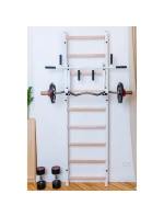 GYMNASTICKÝ ŽEBŘÍK S NASTAVITELNOU KOVOVOU TYČÍ 731W BENCHK GYMNASTICKÝ ŽEBŘÍK S NASTAVITELNOU KOVOVOU TYČÍ 731W BENCHK