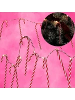 SVĚTLA GIRLANDY 10 VEDL LÍZÁTKO TYČINKY VÁNOČNÍ STROM TEPLÁ BÍLÁ LUCA SVĚTLA GIRLANDY 10 VEDL LÍZÁTKO TYČINKY VÁNOČNÍ STROM TEPLÁ BÍLÁ LUCA