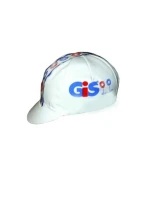 APIS Profi GIS Cap APIS Profi GIS Cap