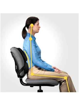 Profesionální polštářek na podporu zad Fellowes Ergonomics
