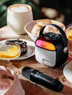 Bluetooth reproduktor ADLER AD 1199b