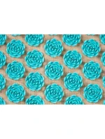 Akupresurní podložka OROMED ORO-HEALTH GREY