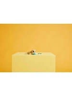 LEGO CREATOR 3v1 31162 Roztomilý zajíček