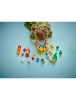 LEGO DUPLO 10452 Výlet na tábor