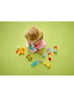 LEGO DUPLO 10412 Vlak se zvířaty