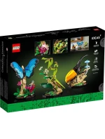 LEGO Ideas 21342 Sbírka hmyzu LEGO Ideas 21342 Sbírka hmyzu