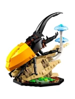 LEGO Ideas 21342 Sbírka hmyzu LEGO Ideas 21342 Sbírka hmyzu