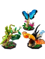 LEGO Ideas 21342 Sbírka hmyzu LEGO Ideas 21342 Sbírka hmyzu