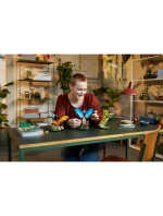 LEGO Ideas 21342 Sbírka hmyzu LEGO Ideas 21342 Sbírka hmyzu