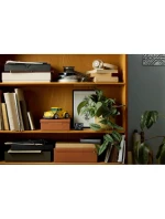 LEGO 10338 ICONS Čmelák