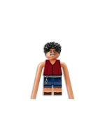 LEGO One Piece 75638 Bitva v parku Arlong