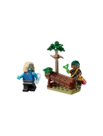 LEGO One Piece 75638 Bitva v parku Arlong