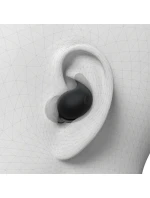 Sluchátka SONY WF-LS910NB Ausines