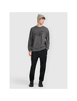 Pánská mikina bez kapuce 4F 4FRMM00TSWSM2479-23M